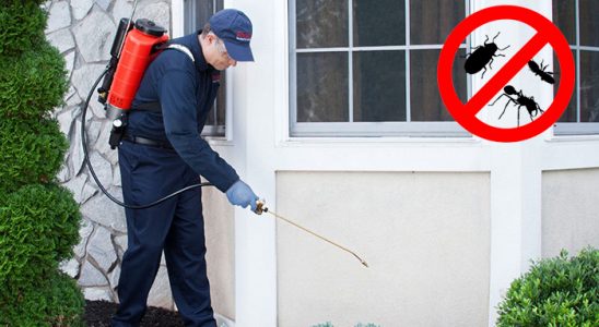 Kalkandere Hamam Böceği İlaçlama böcek ilaçlama ve haşere kontrolü — ilaclama-tr.com